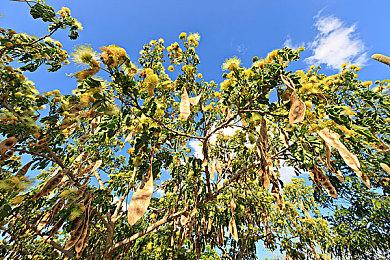 《王冠之战：黑王子》全新预告 3月8日发售