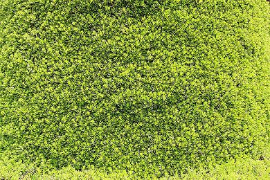 经典游戏《鬼魂大师》GOG免费发布 扮鬼吓人乐趣多